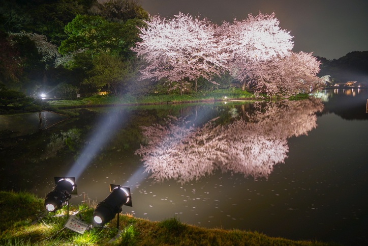 戶外投射燈選購全攻略:款式推薦、挑選技巧與安裝重點|景觀設計, 戶外投射燈推薦, 戶外投光燈推薦, 戶外照樹燈推薦, 景觀投射燈,戶外投射燈瓦數, 投光燈,泛光燈, 照樹燈,景觀投射燈, 防水投射燈, 戶外投射燈推薦, 照樹燈推薦, 投光燈推薦, 戶外投射燈10w, 15w, 20w, 25w, 30w, 35w,50w, 戶外燈推薦, 景觀照明燈具、景觀照明設計、景觀設計、景觀工程、景觀設計公司、景觀燈具推薦、庭園照明燈具、庭園燈、柱燈、草坪燈、階梯燈、車道燈、壁燈、步道燈,TJ2 Lighting東捷生活科技,H&L東捷生活家居
